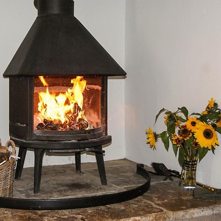 Old Orchard Cottage Haydon المظهر الخارجي الصورة