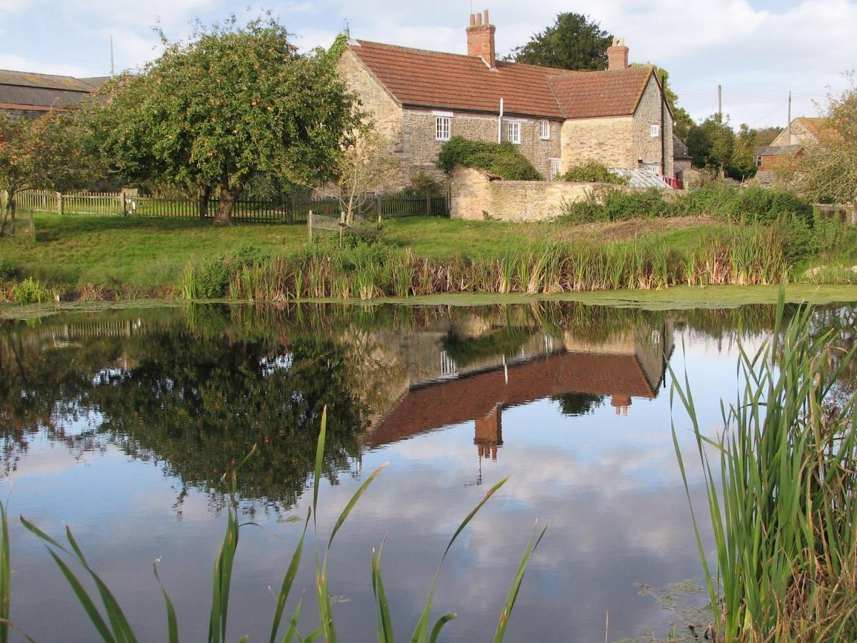 Old Orchard Cottage Haydon المظهر الخارجي الصورة