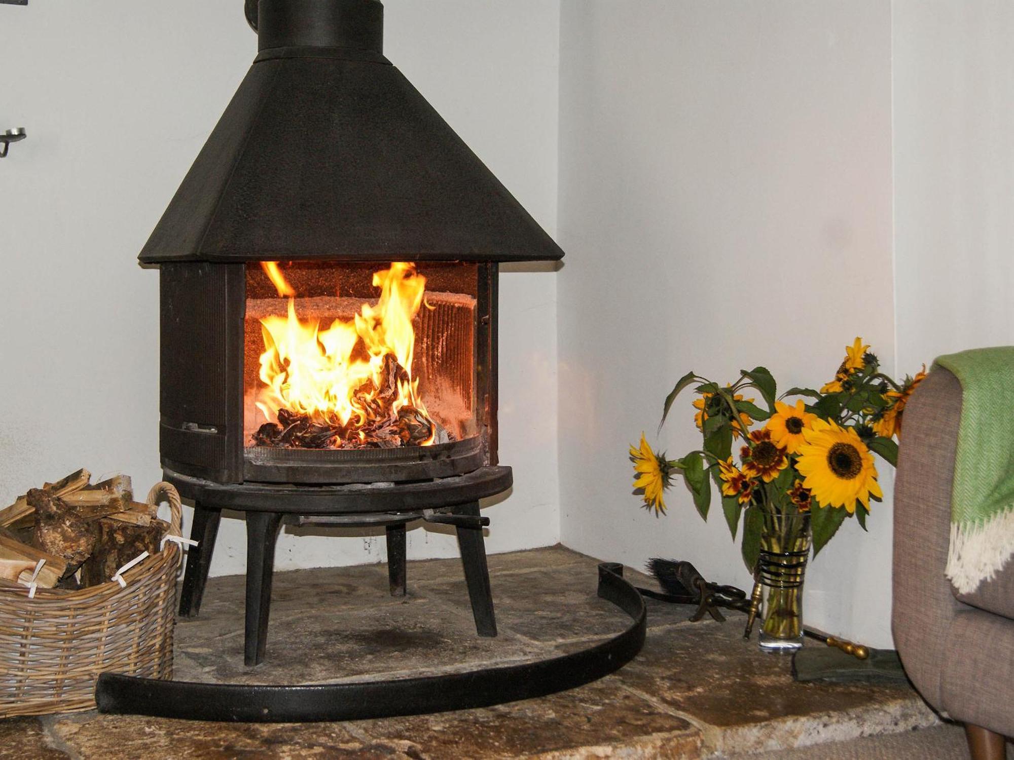 Old Orchard Cottage Haydon المظهر الخارجي الصورة